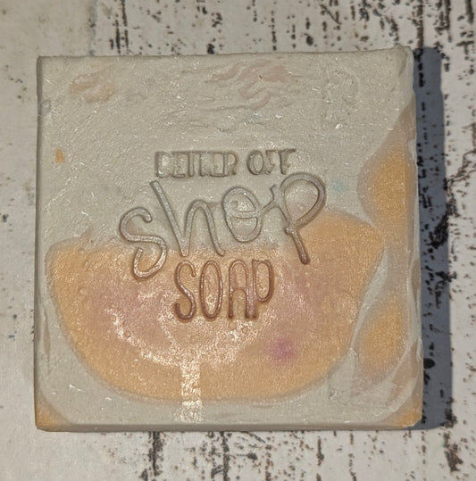 Birch Babe Cold Process Soap Bar